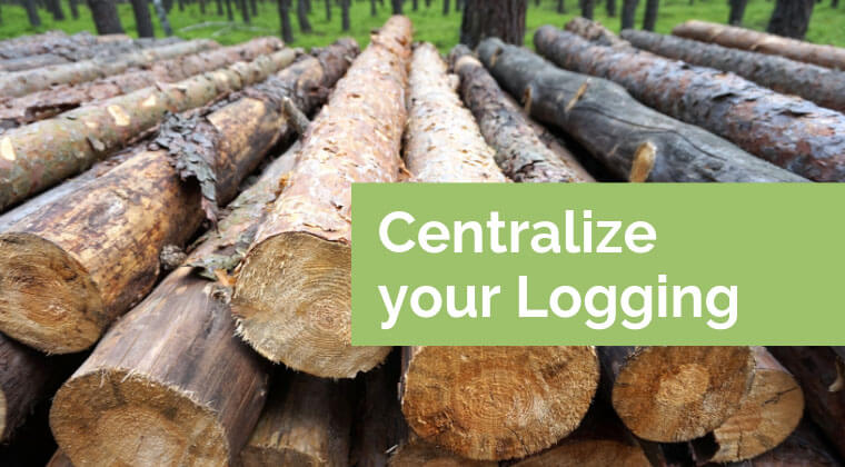 Image of tree logs