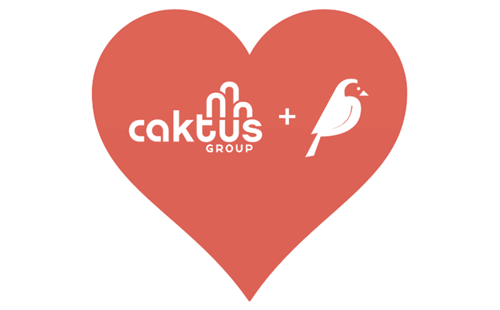 Red heart with the Caktus and Wagtail logos inside