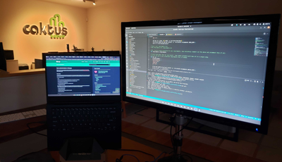 Image of screens with coding