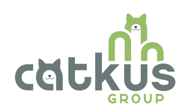 Kittens at Caktus: Raising Money and Awareness for Local Charity Alley Cats and Angels