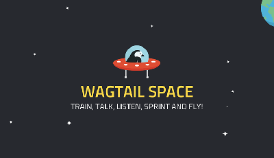 Logo for the Wagtail Space US conference